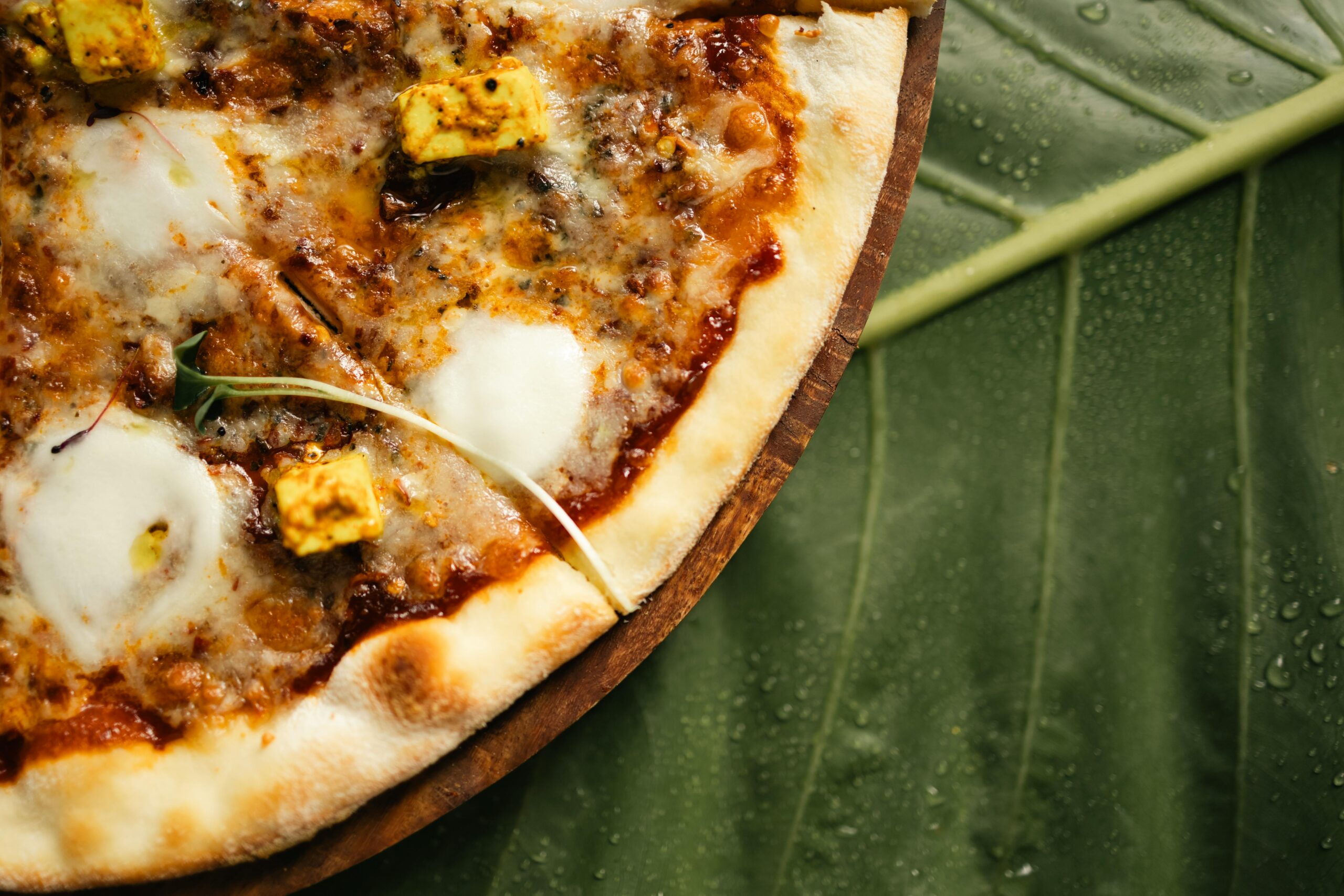 Our Menu Close-up of a mouthwatering paneer pizza on a natural leaf background, shot in Surat.
